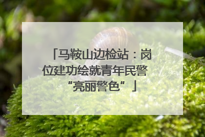 马鞍山边检站：岗位建功绘就青年民警“亮丽警色”